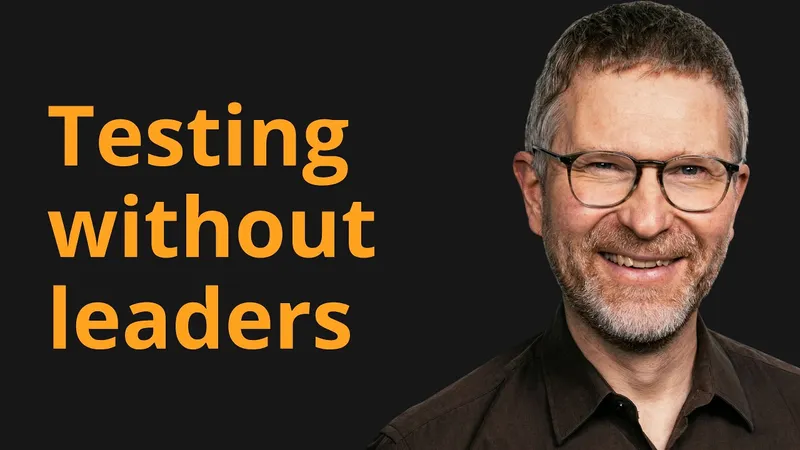 Softwaretest Leader